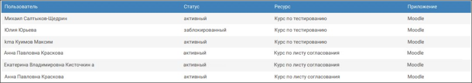 Отчет по правам доступа пользователей приложения в формате pdf